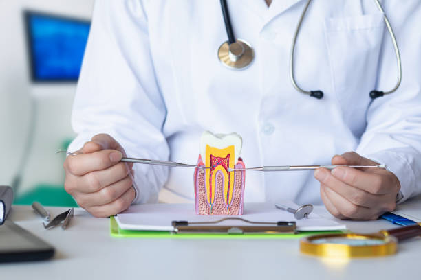 Best Walk-In Emergency Dental Services in Idylwood, VA